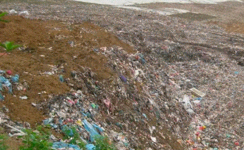 1698633714581444.gif 640.gif