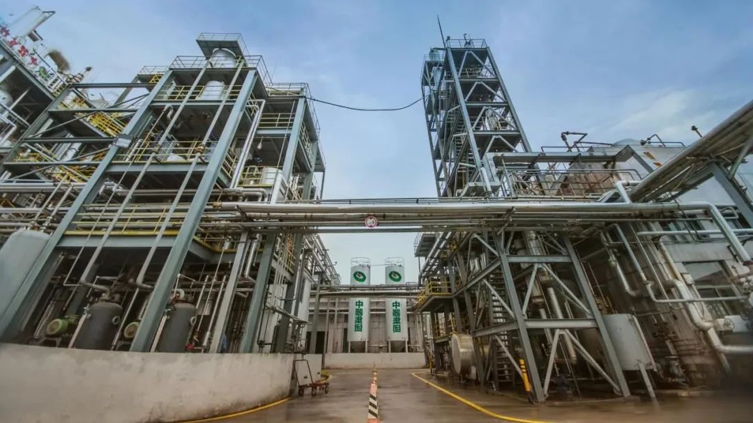 1701056386782974.png 7.png