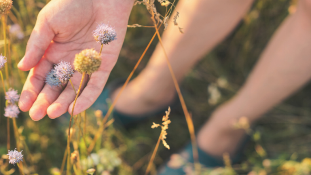 1701661635182741.png 1.png