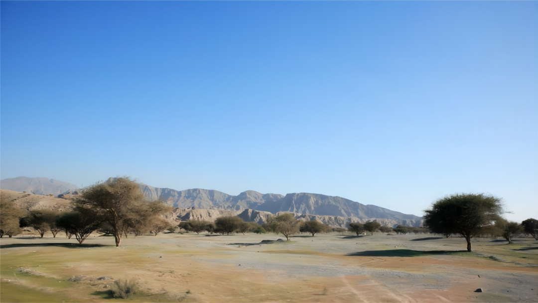 1701661746455238.png 2.png