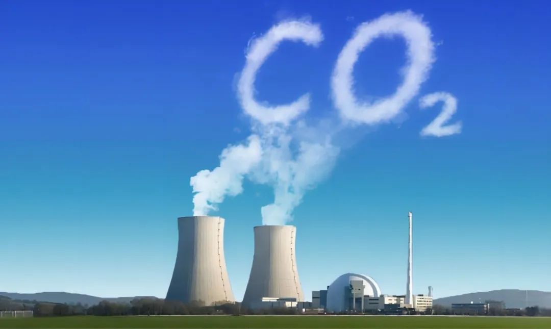 1701661878638115.jpg 7.jpg