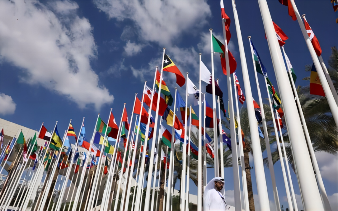 1702879880113890.png 1.png