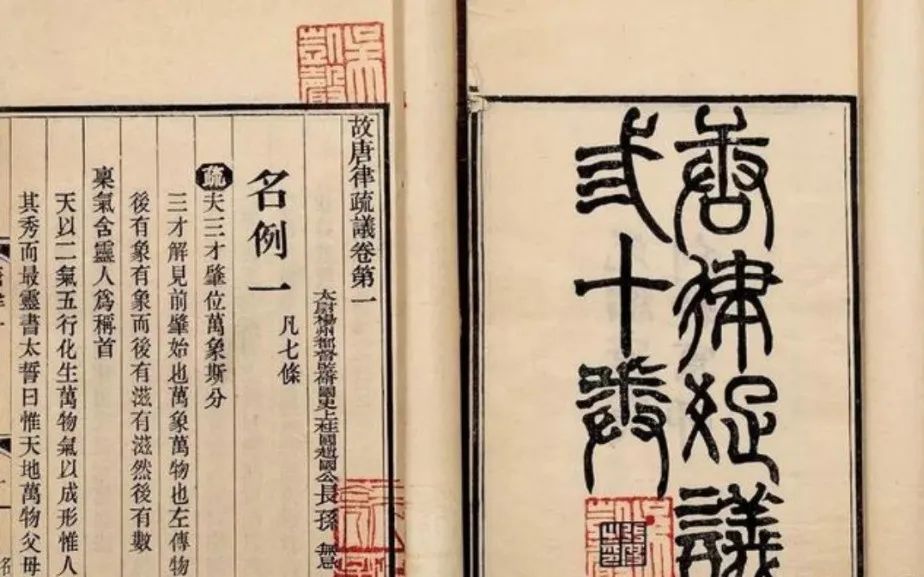 1709866839155561.jpg 3.jpg