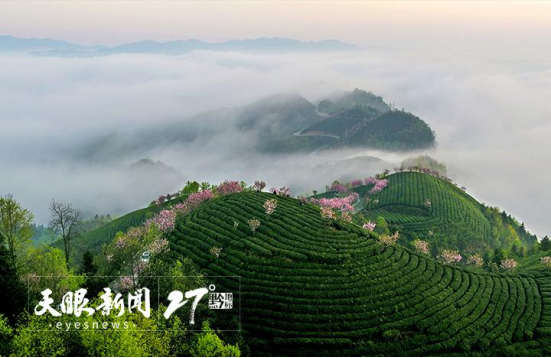 1709867412203451.png 2.png