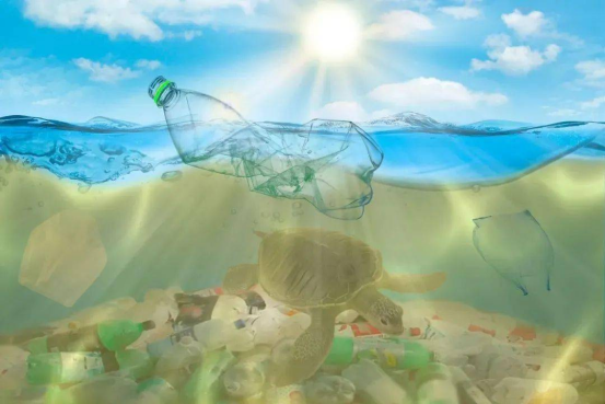 1714353570163839.png 640.png