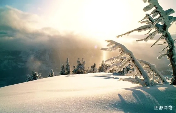 1730959258754725.png 微(wēi)信截(jié)圖_20241107135647.png