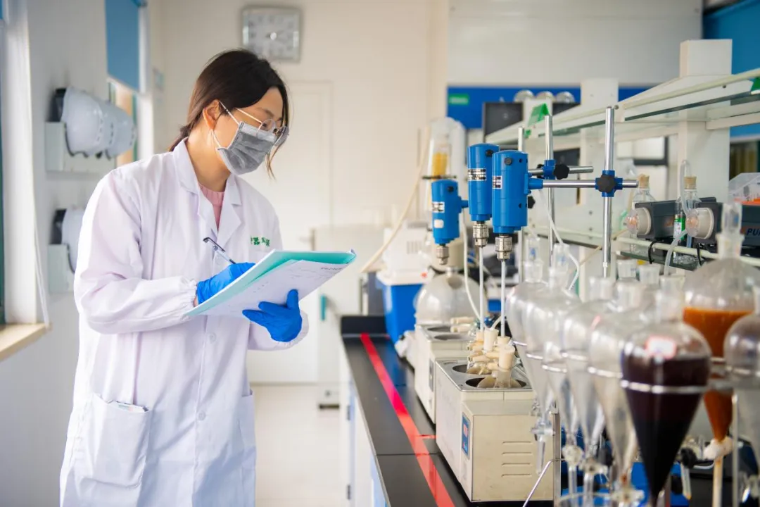 1735525655879950.png 3.png