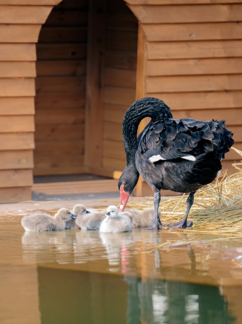 1736125263636571.png 微信截(jié)圖_20250106085346.png