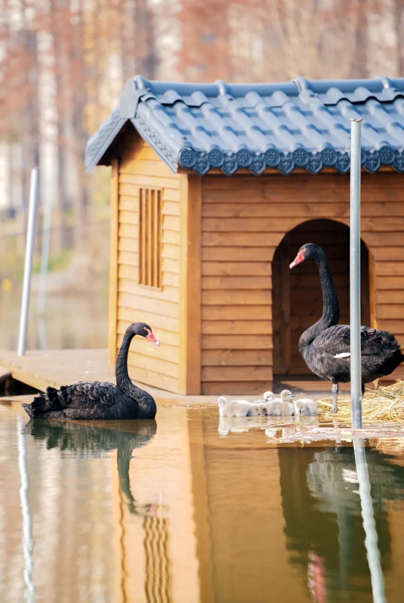 1736125348733783.png 微信截圖_20250106085543.png