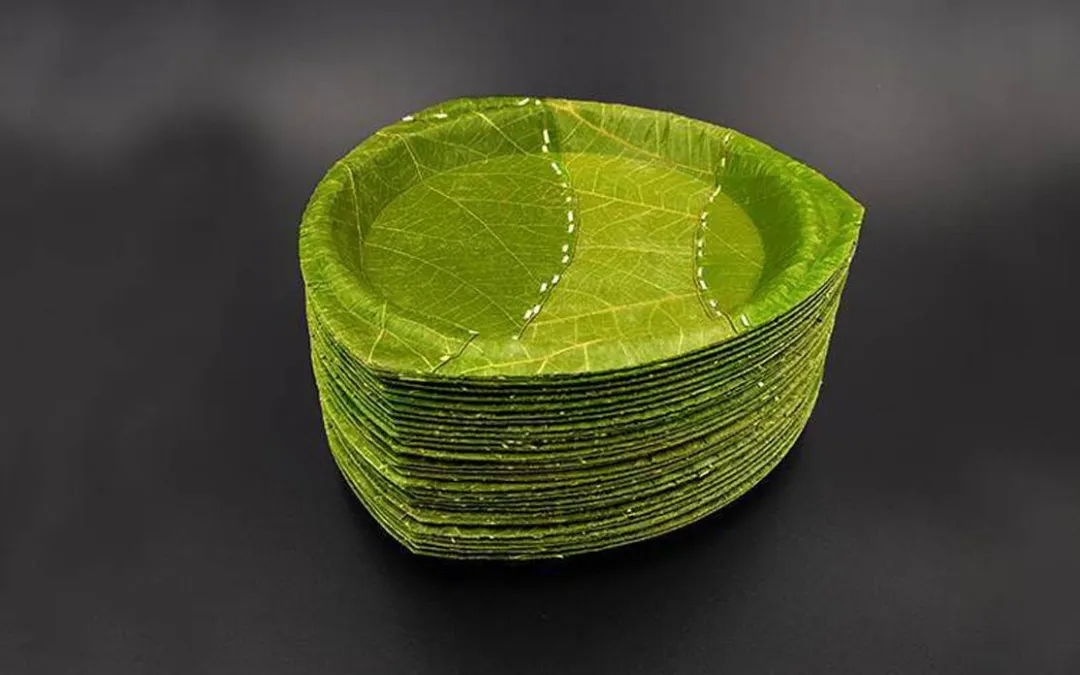 1736734376575442.png 9.png