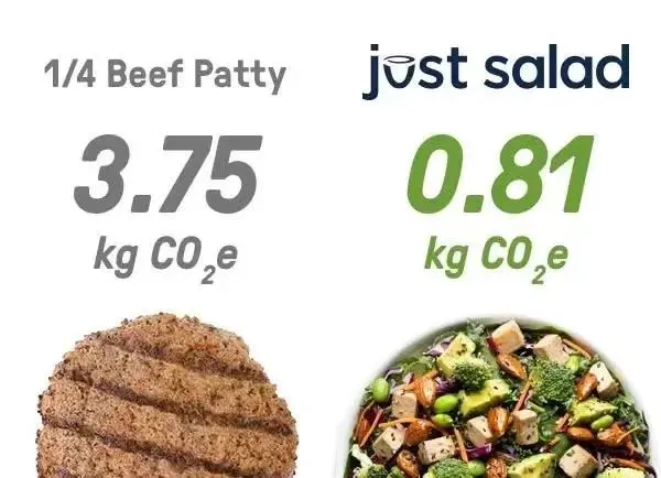 1736734386105254.png 10.png