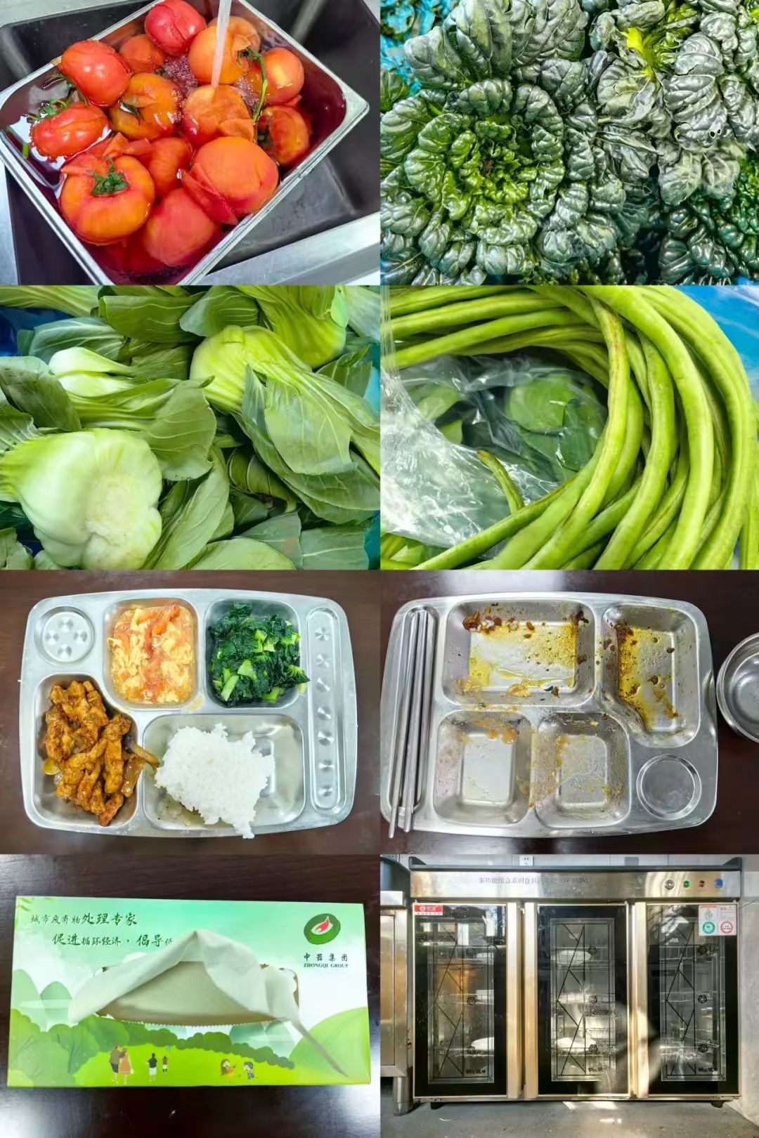 1736734827565258.jpg 948576ee1188ff02f7b8cdf7317977b.jpg