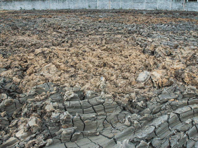 1744601984803309.gif 2.gif