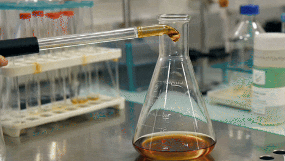 1748250721559097.gif 2.gif